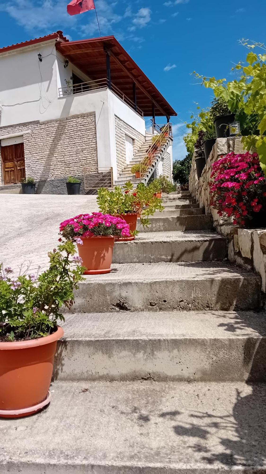 בראט Villa Rexho מראה חיצוני תמונה